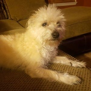 Meet your Posher, Caroline